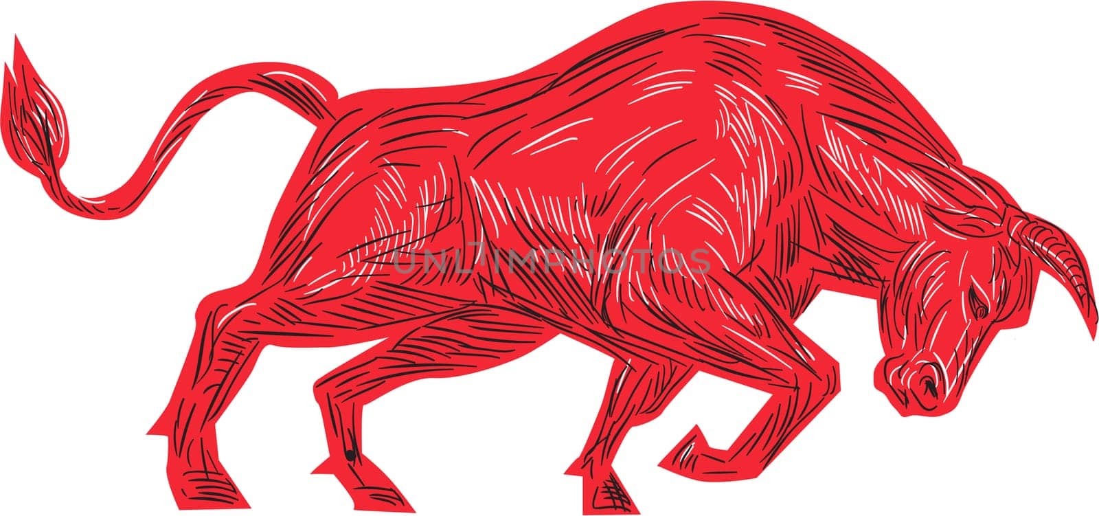 Drawing sketch style illustration of a bull facing attacking charging viewed from the side set on isolated white background.