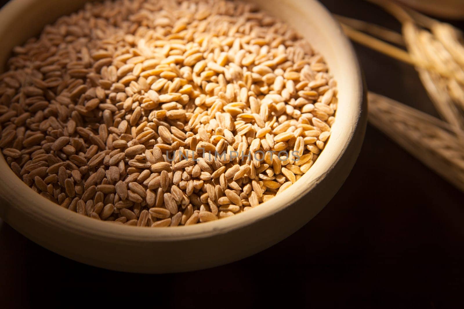 Sprout of wheat in a clay bowl with ears