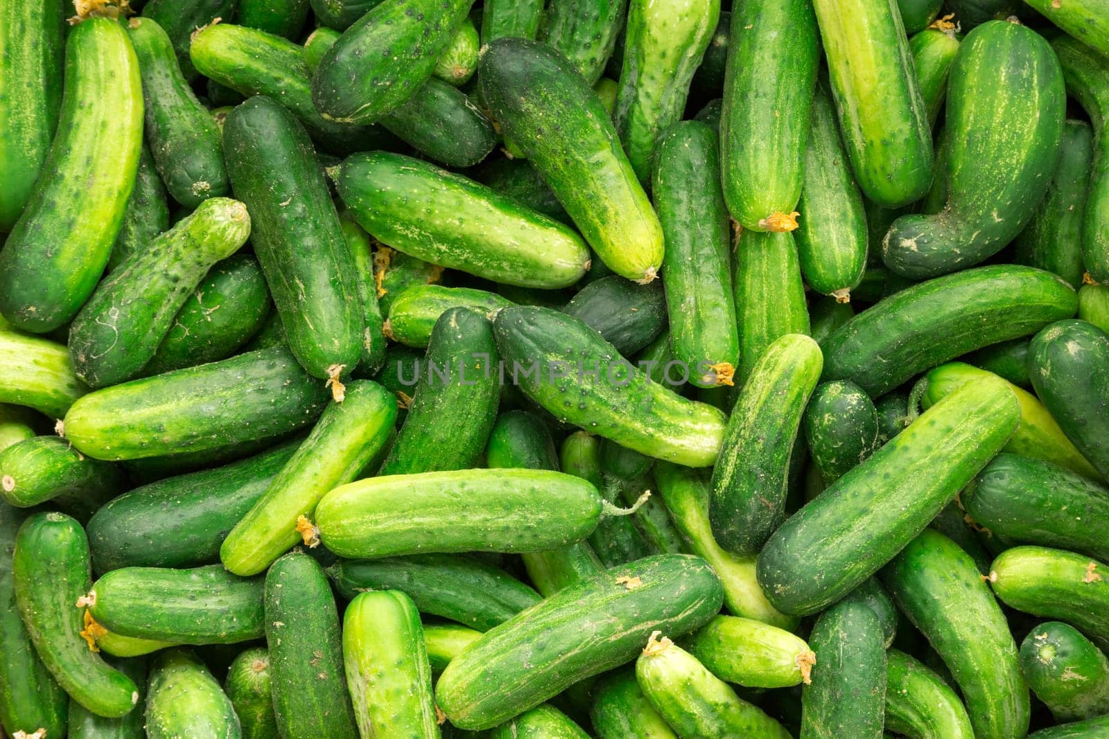 Cucumbers background
