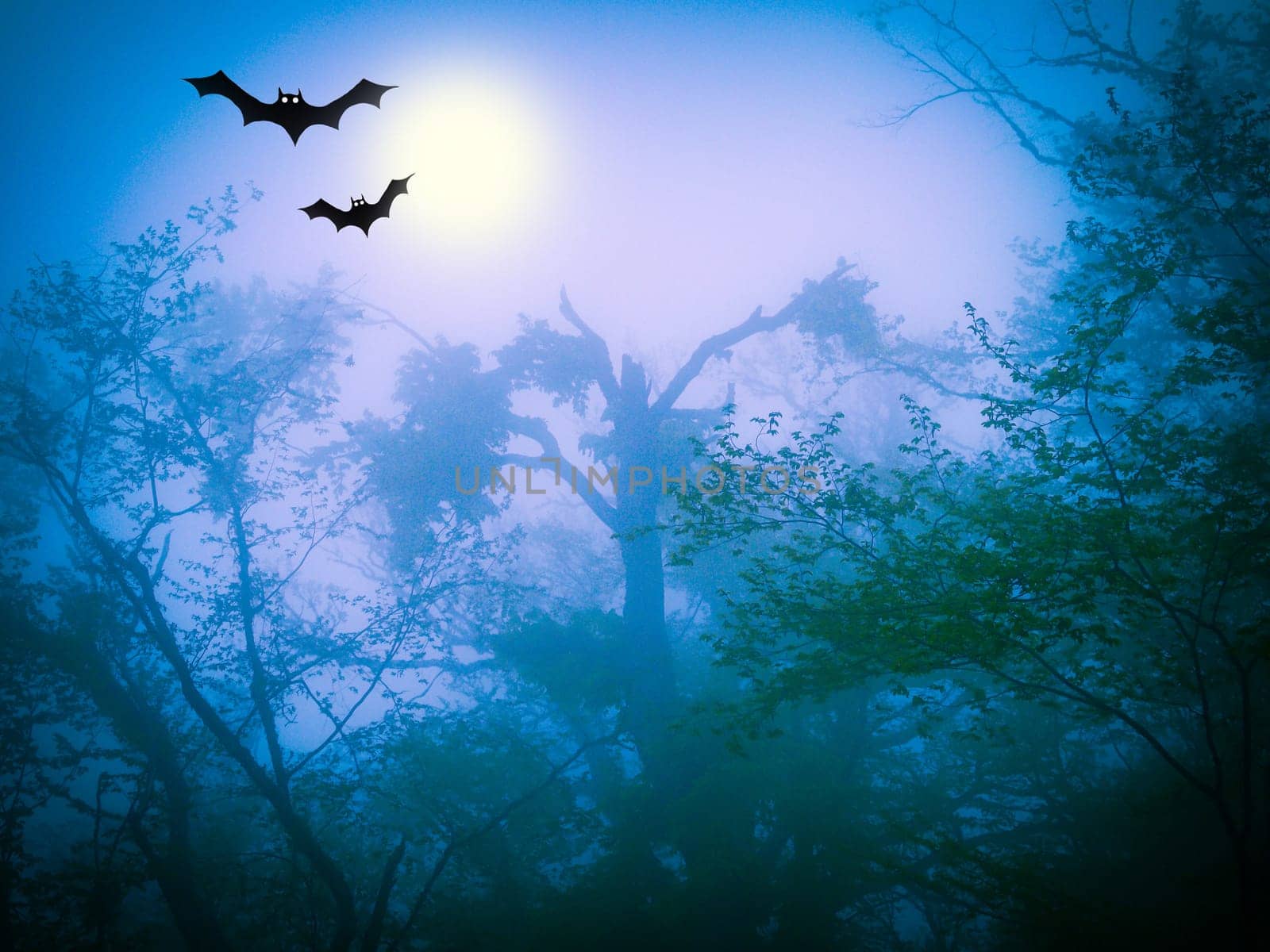 Mysterious blue forest in fog in halloween stile