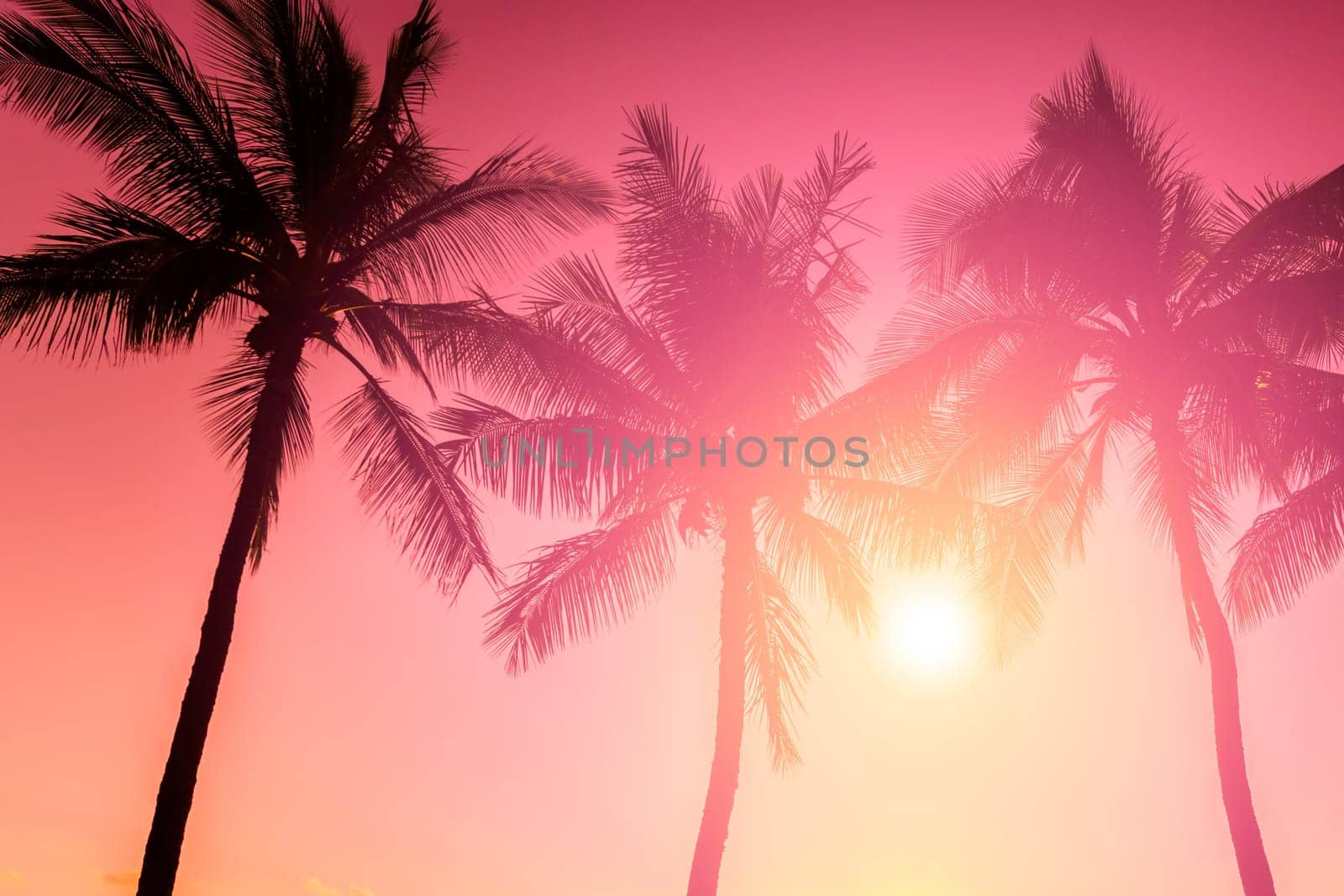 Tropical sunset
