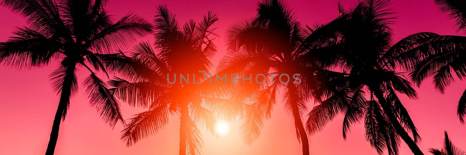 Tropical sunset