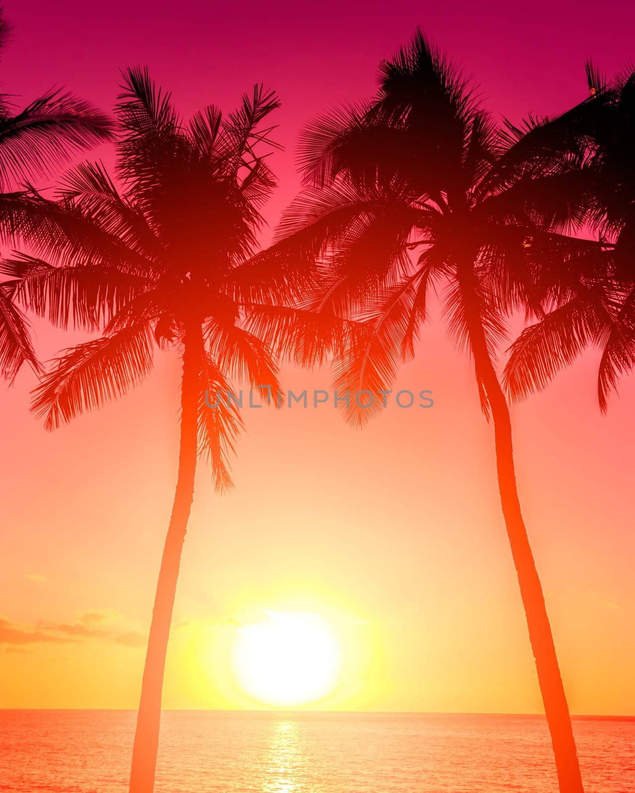 Tropical sunset