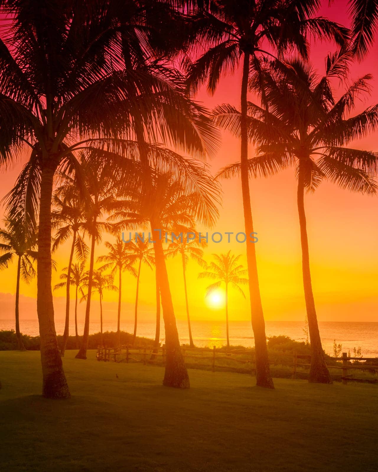 Tropical sunset