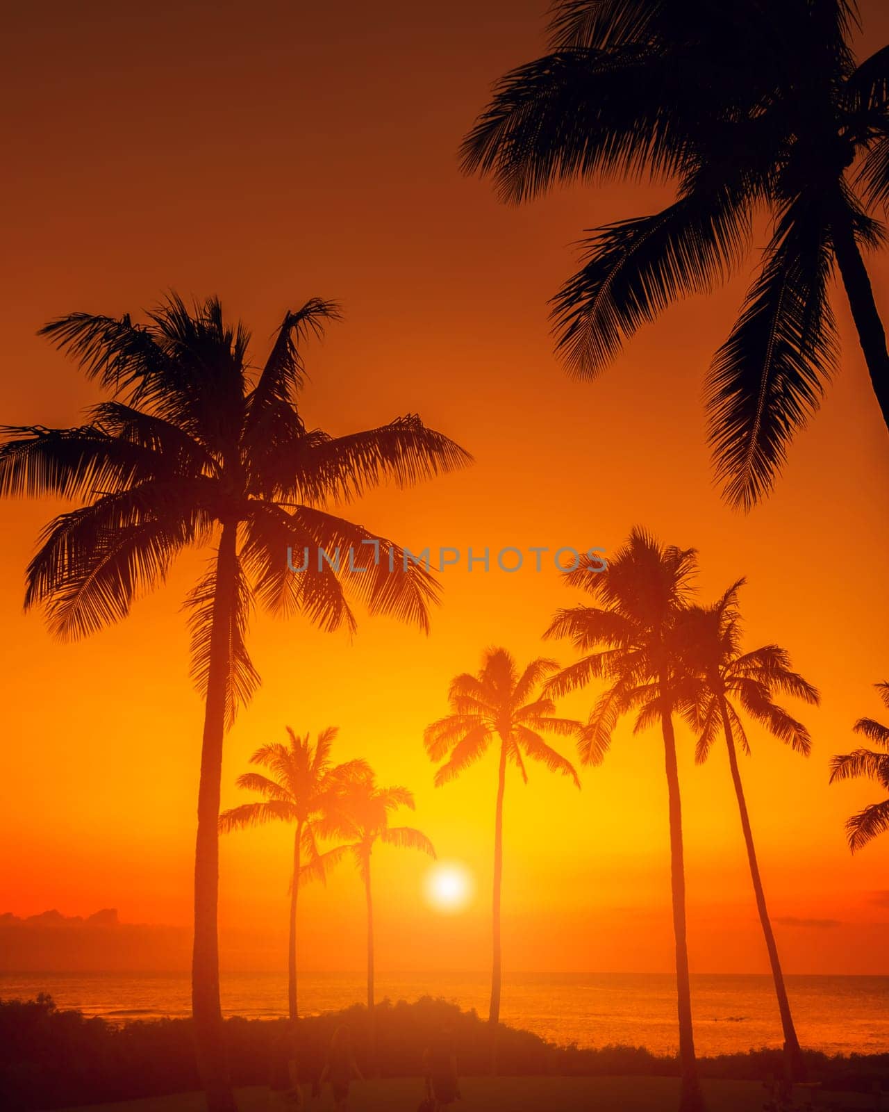 Tropical sunset