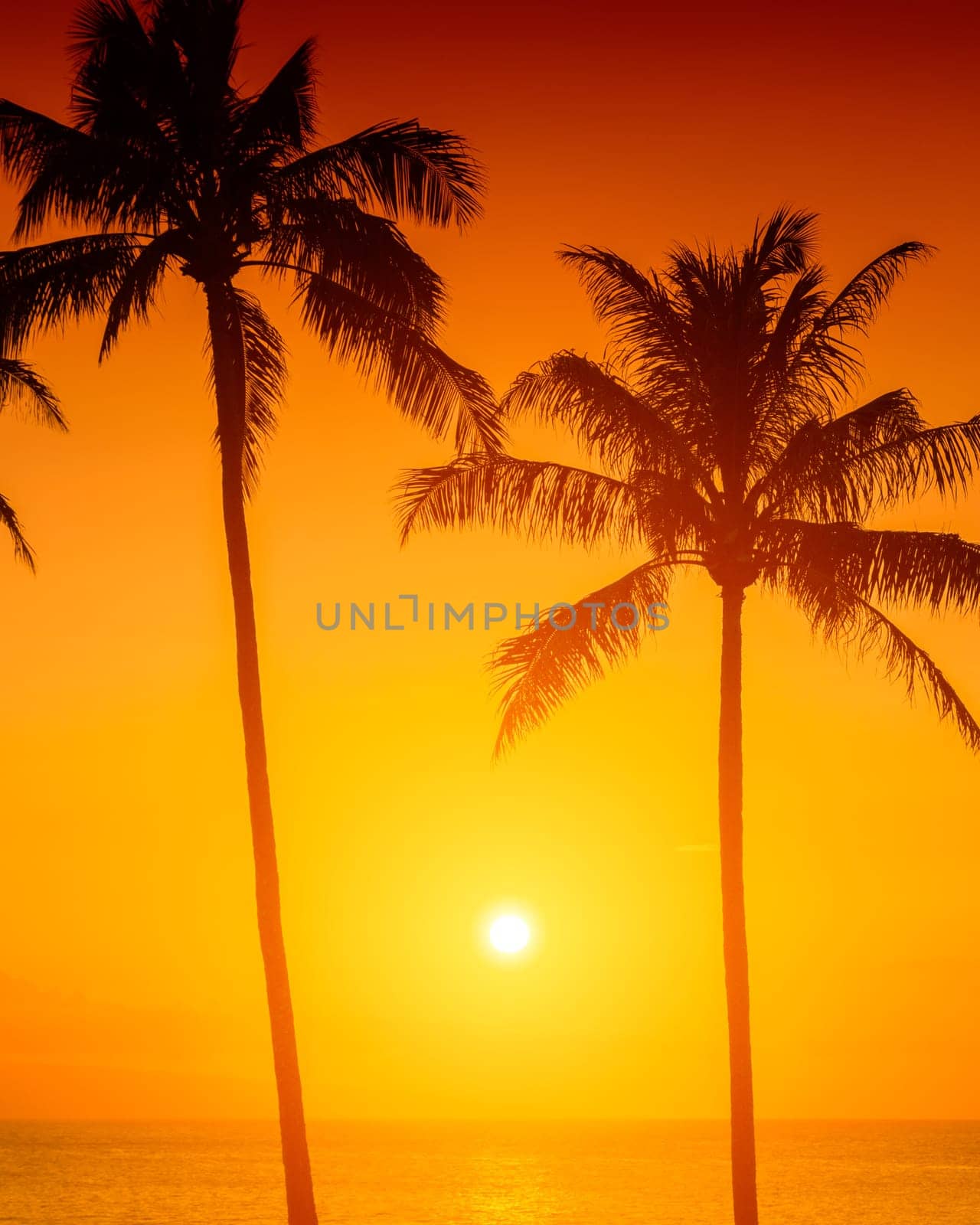 Tropical sunset