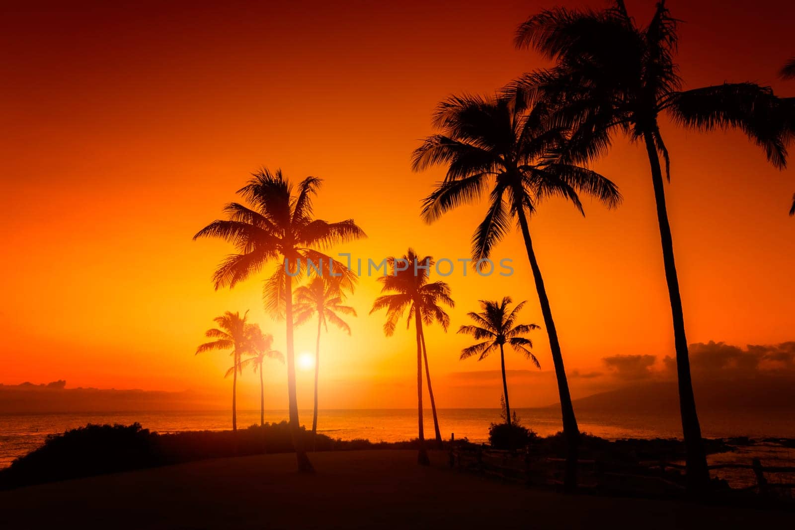 Tropical sunset