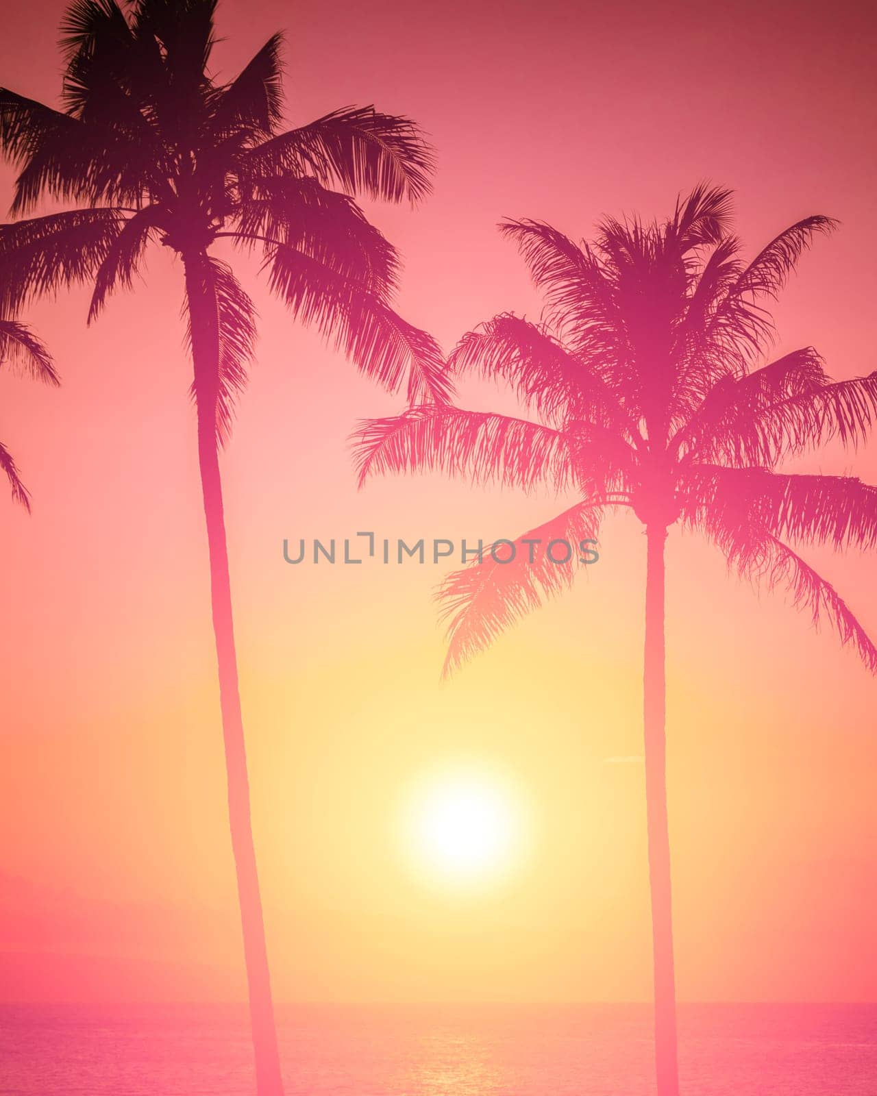 Tropical sunset