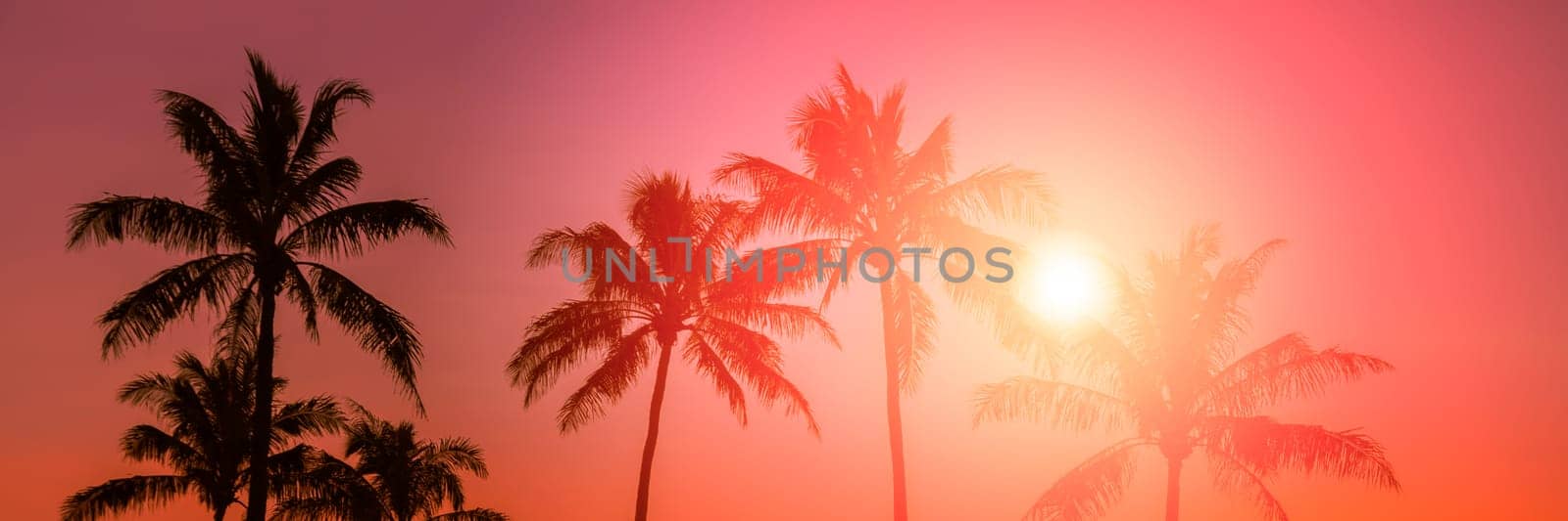 Tropical sunset