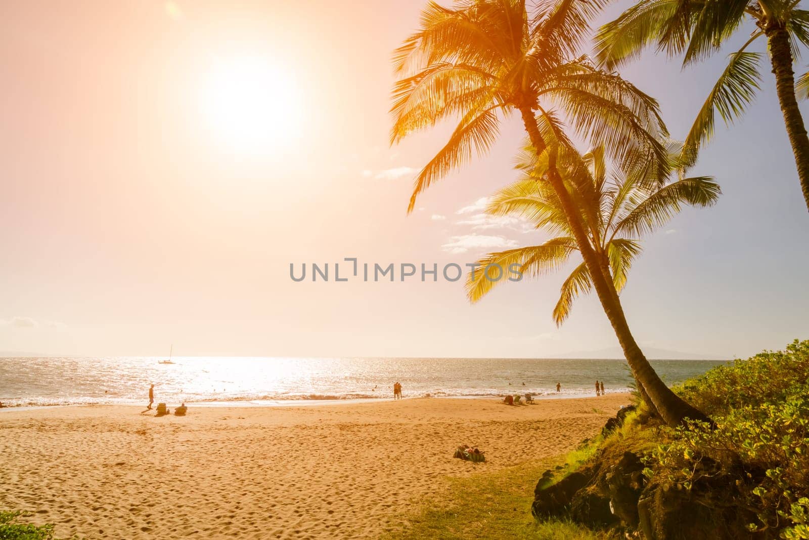 Tropical sunset
