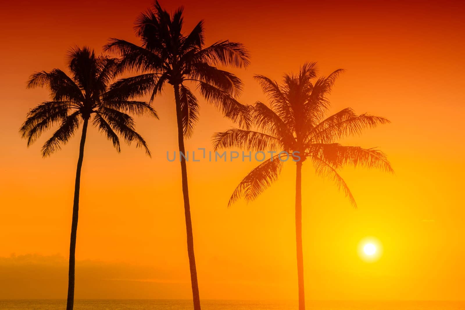 Tropical sunset