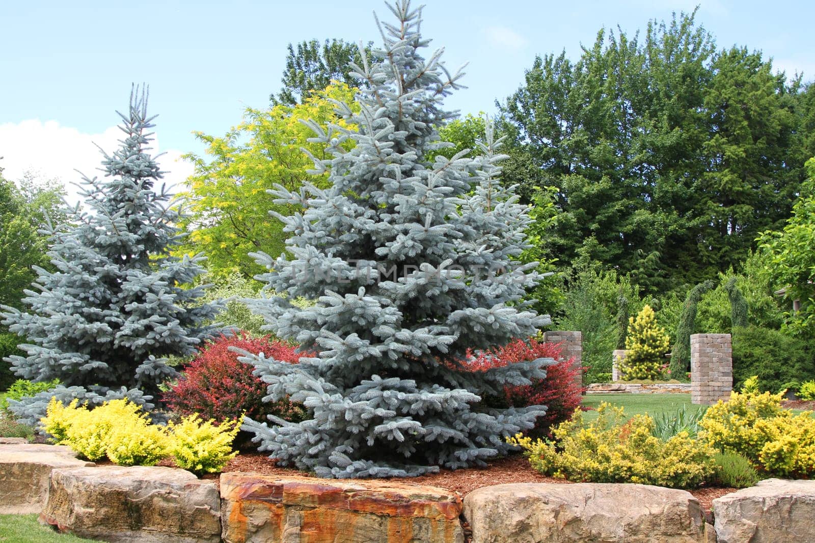 Landscaping of trees and shrubs lined with massive rocks