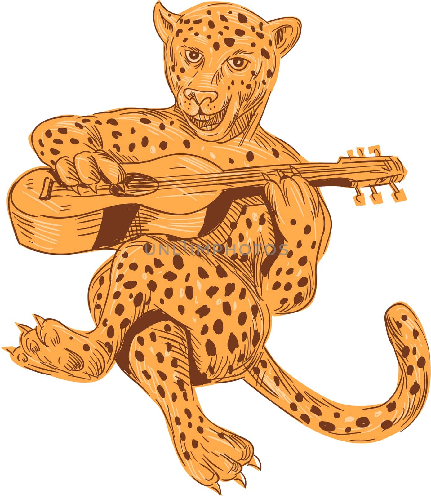 Drawing sketch style illustration of a jaguar sitting playing guitar viewed from front set on isolated white background.