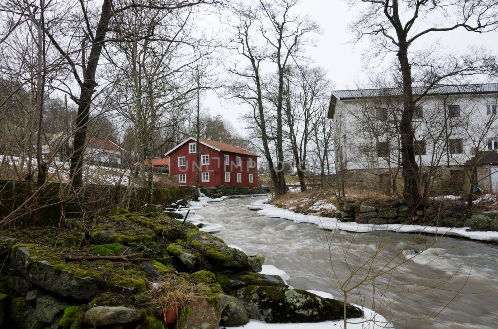 Kungsbacka river with  cold water one grey day in early spring