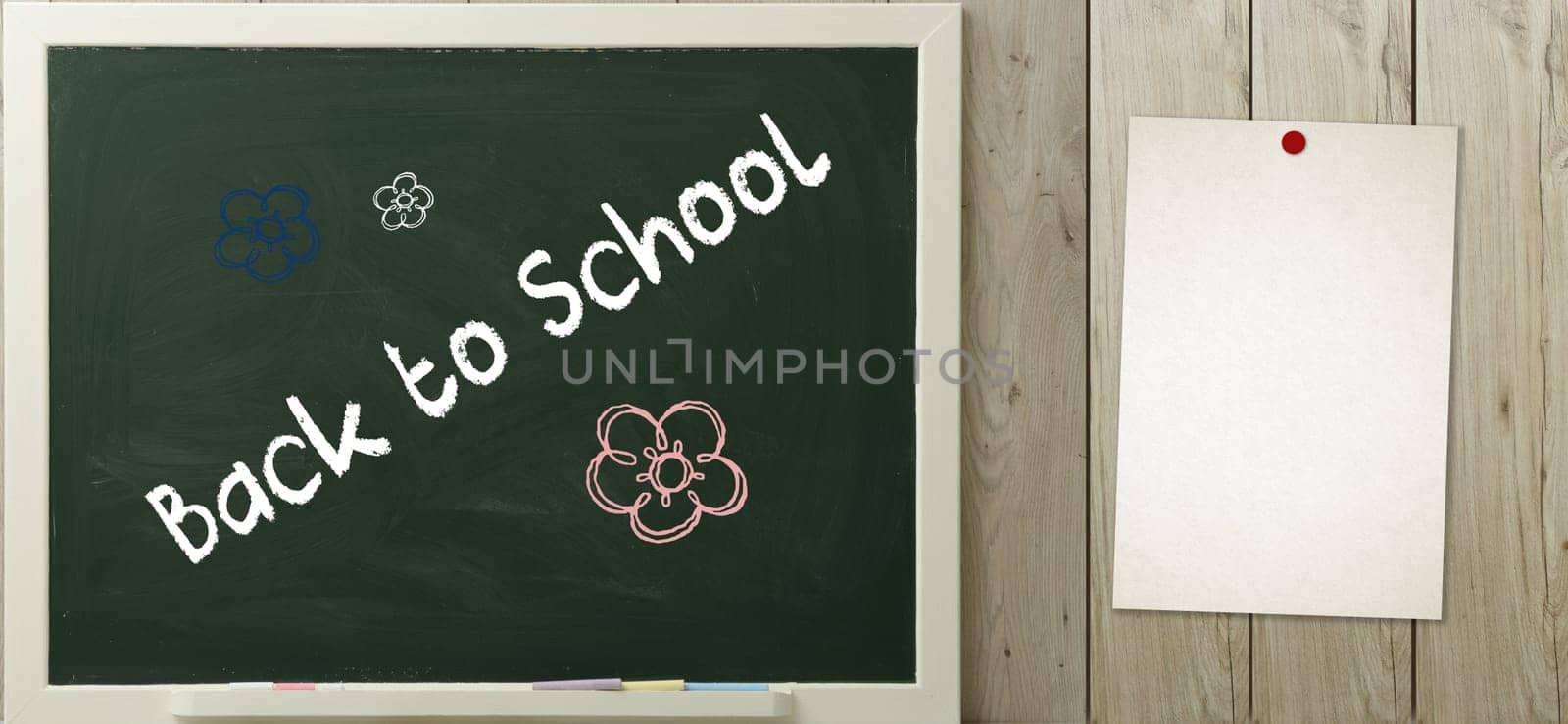 back to school written on green blackboard and sheet of paper