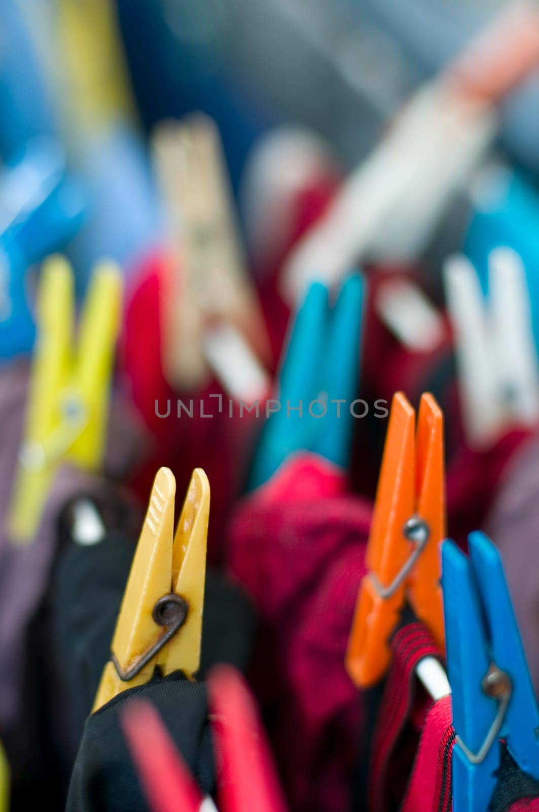 Clothespins on a leash with laundry