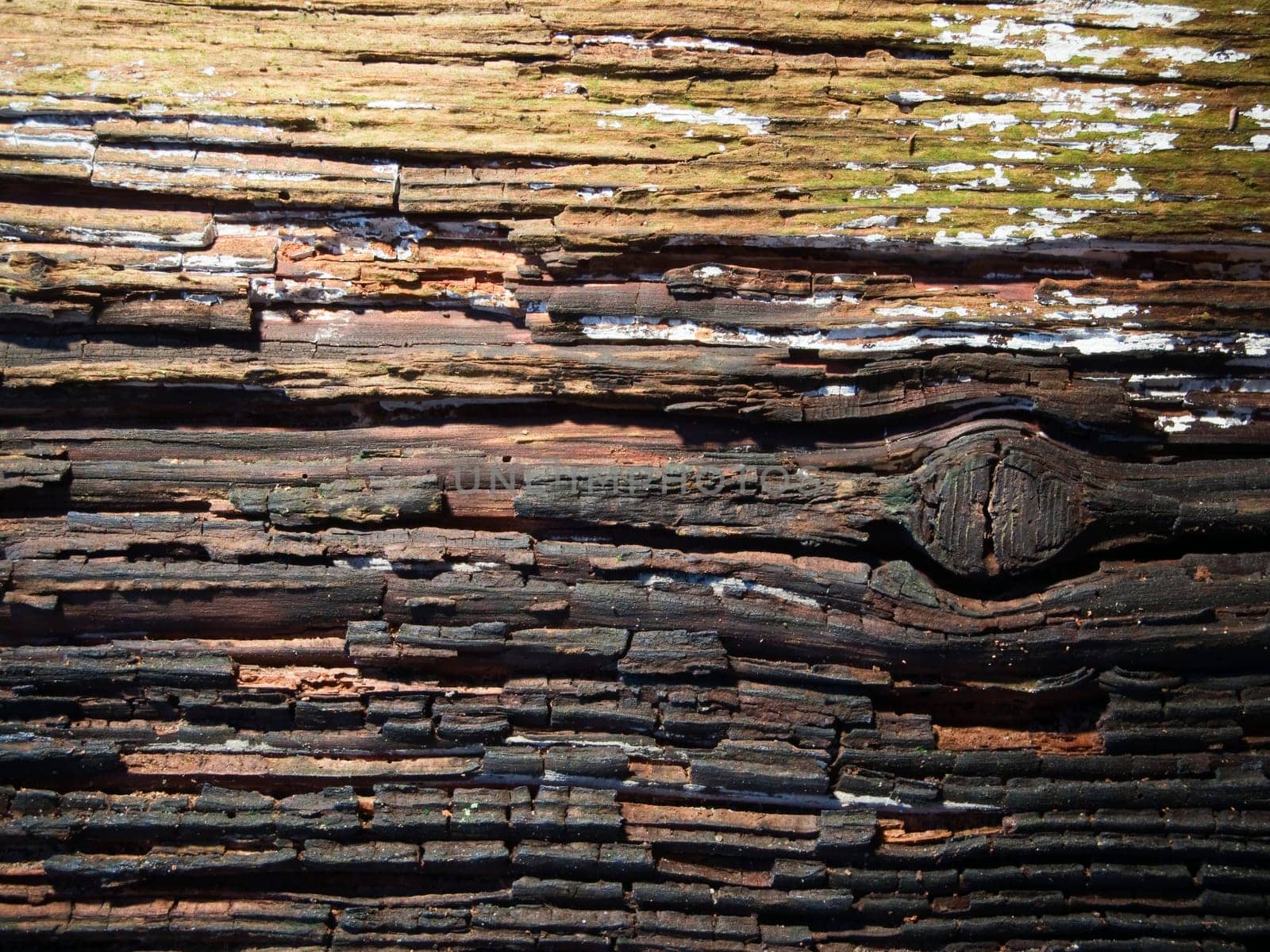 Wood surface of weathered wood with washed-out grain
