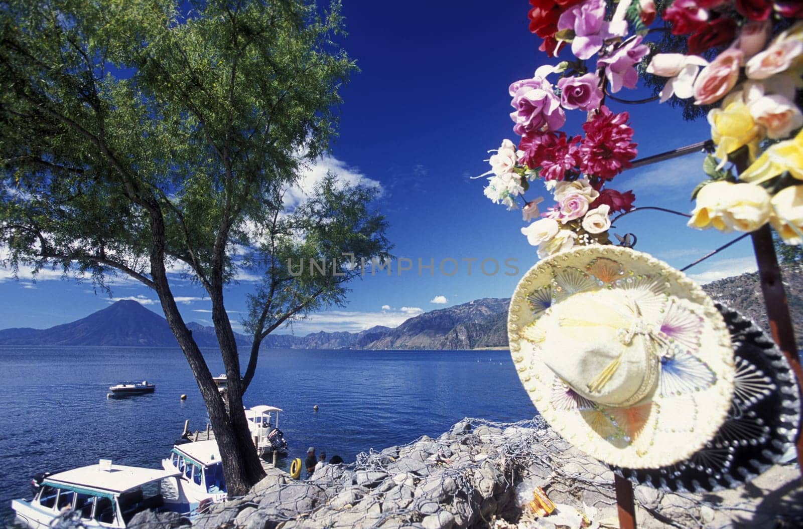 The Lake Atitlan with the Volcanos of Toliman and San Pedro in the back at the Town of Panajachel in Guatemala in Central America.