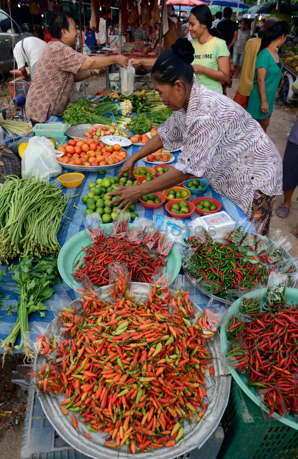 chili and fegetable at the day Market in the city of Phuket on the Phuket Island in the south of Thailand in Southeastasia...