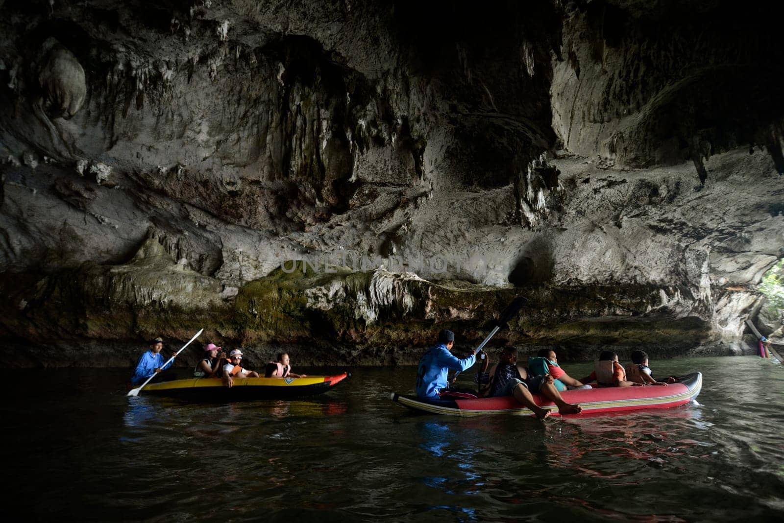 the nature at the Ao Phang Nga Nationalpark on the Phuket Island in the south of Thailand in Southeastasia...