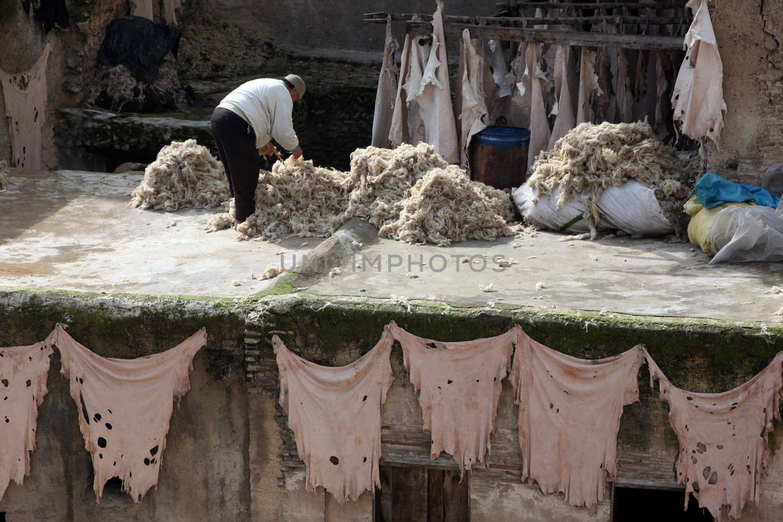 The Leather production in the old City in the historical Town of Fes in Morocco in north Africa.