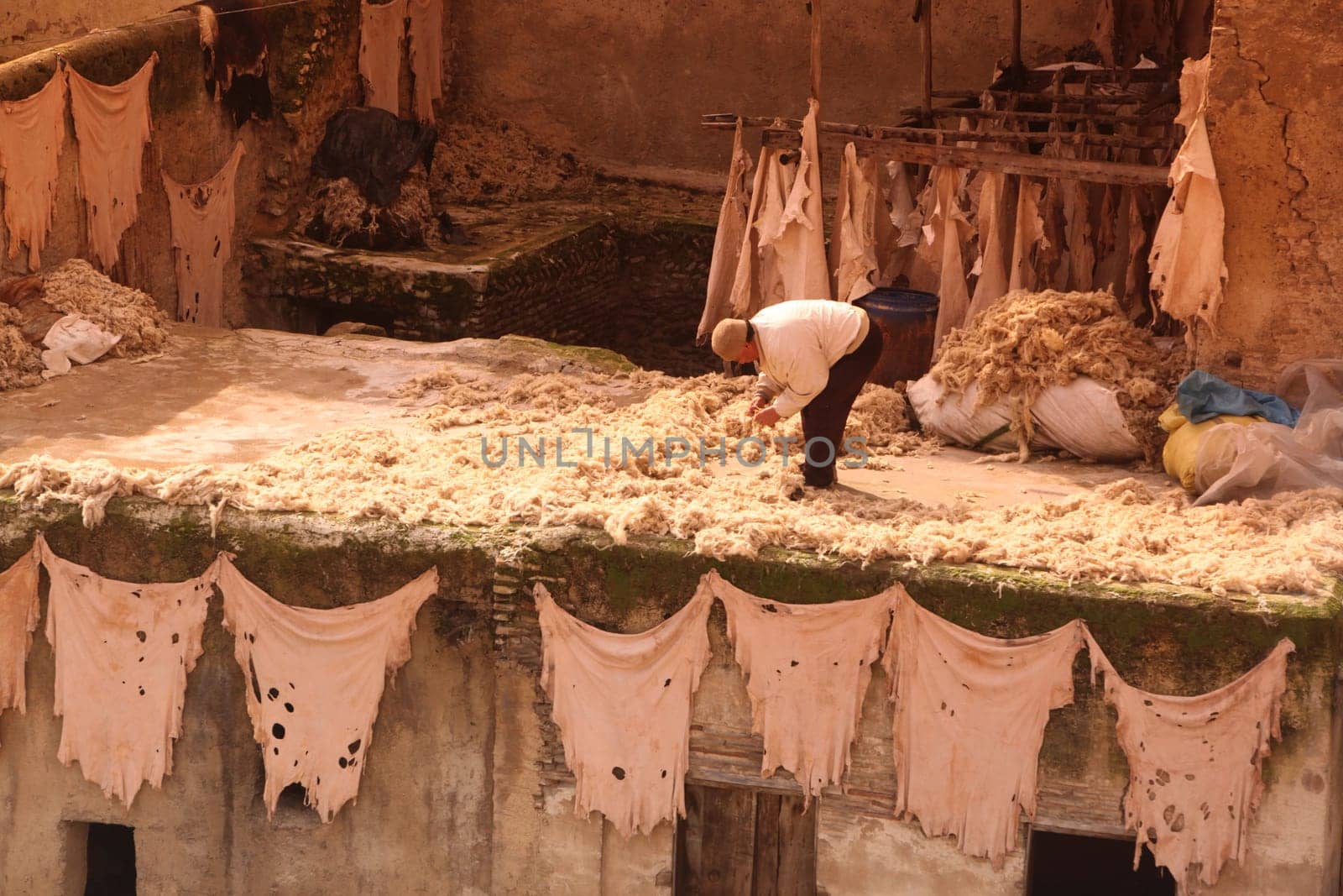 The Leather production in the old City in the historical Town of Fes in Morocco in north Africa.