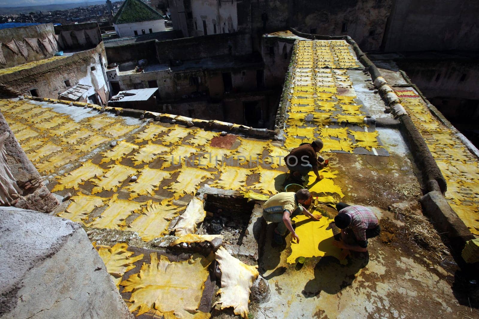 The fresh Leather gets dry on the sun near Leather production in front of the Citywall in the old City in the historical Town of Fes in Morocco in north Africa.