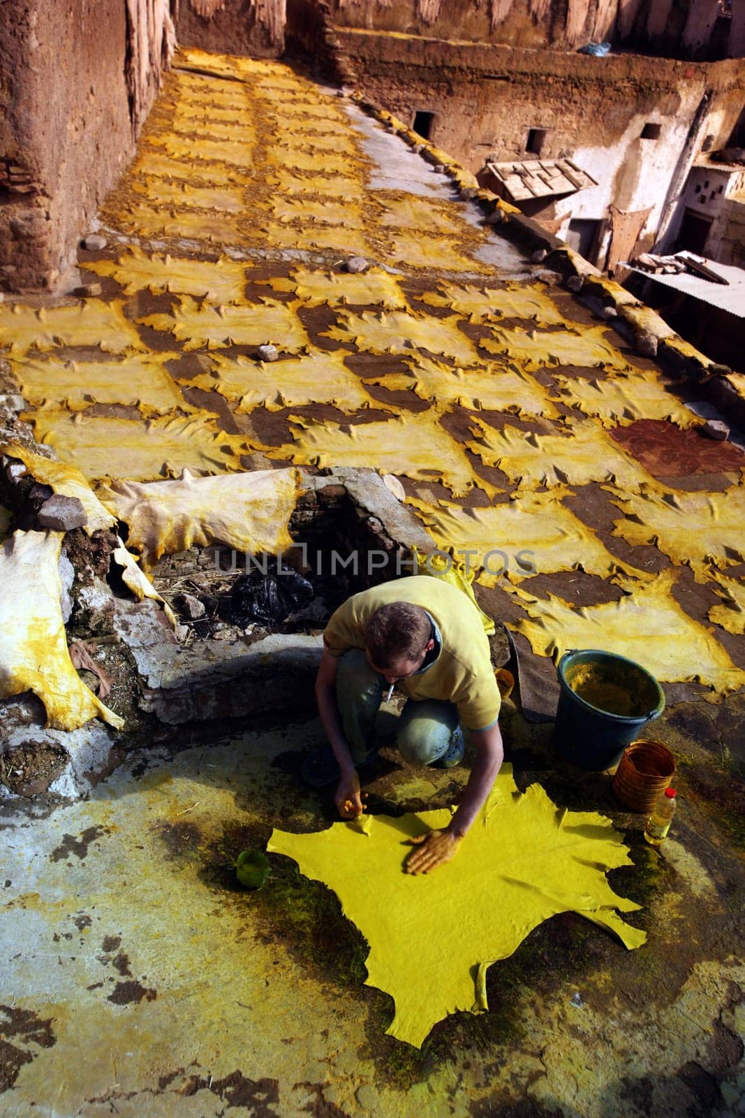 The Leather production in the old City in the historical Town of Fes in Morocco in north Africa.