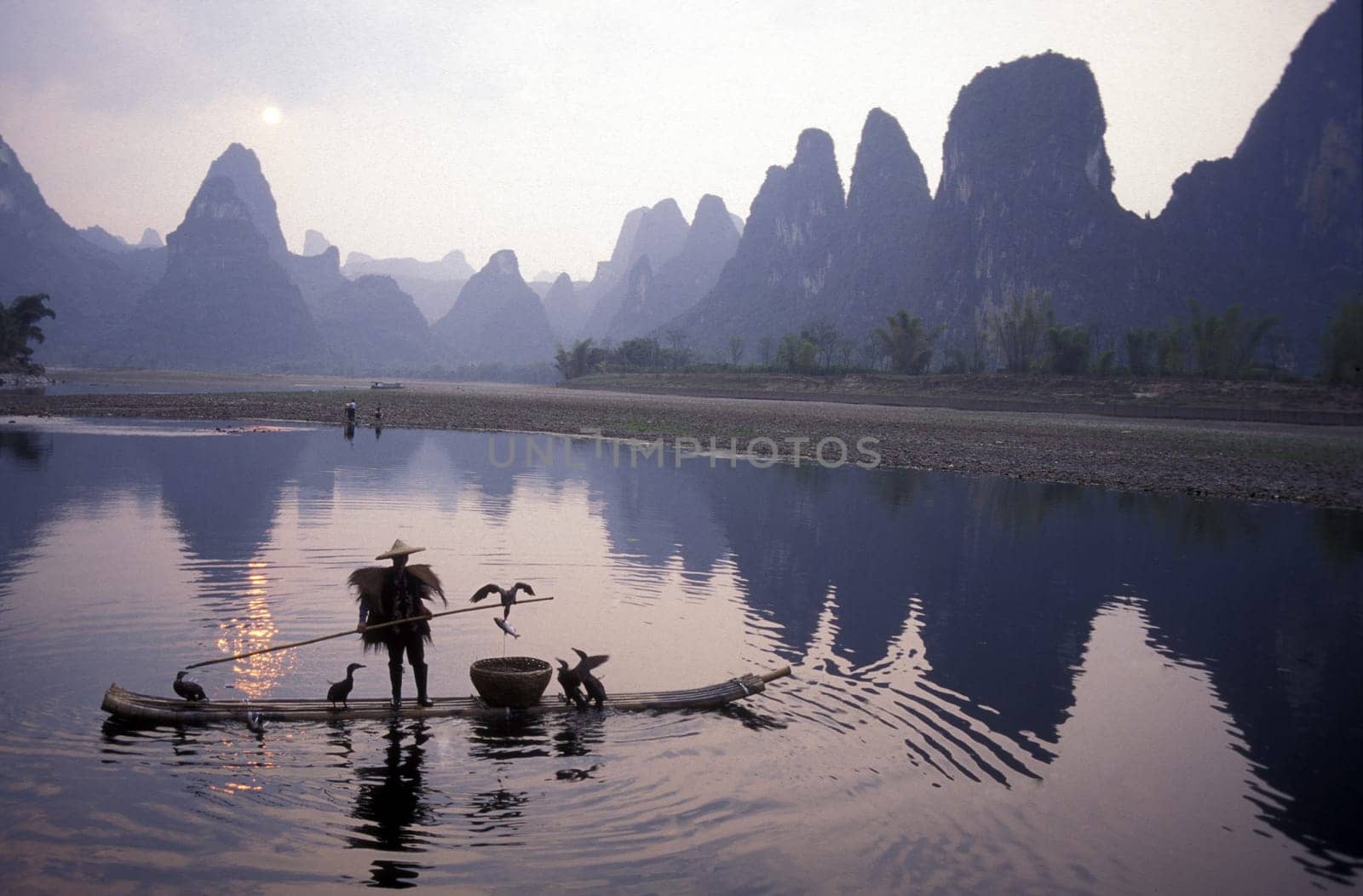 the landscape at the Li River near Yangshou near the city of Guilin in the Province of Guangxi in china in east asia.