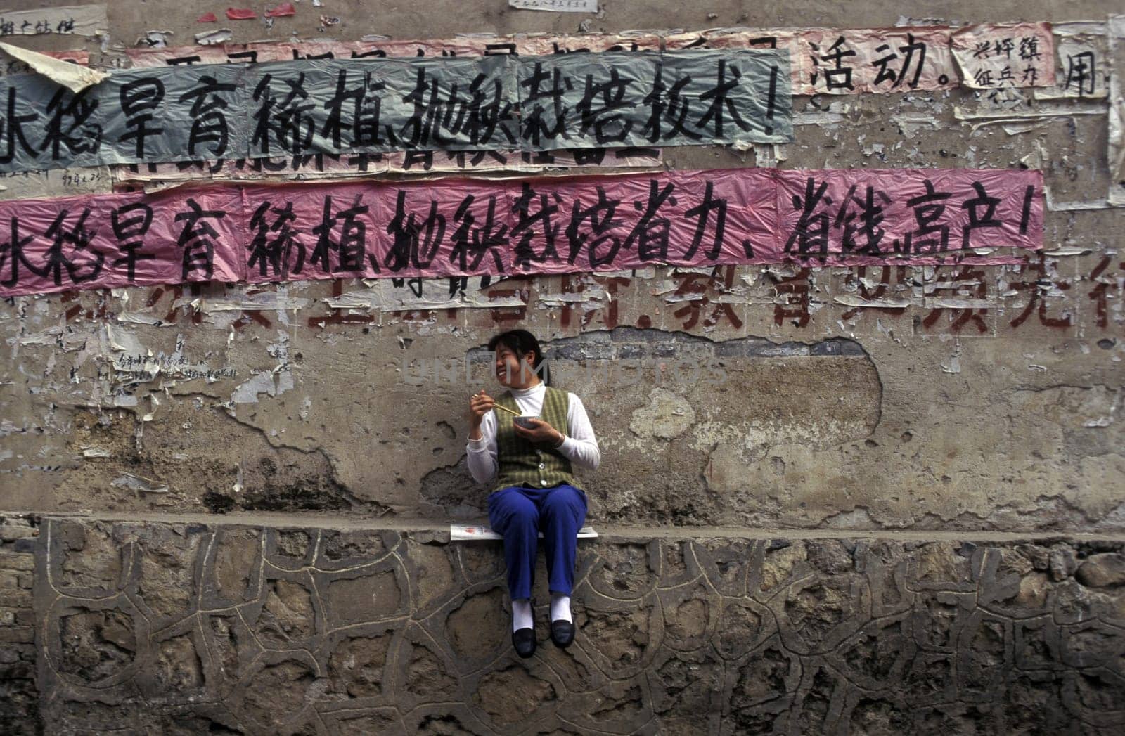a woman with a plate of rice near the town of Yangshou near the city of Guilin in the Province of Guangxi in china in east asia.