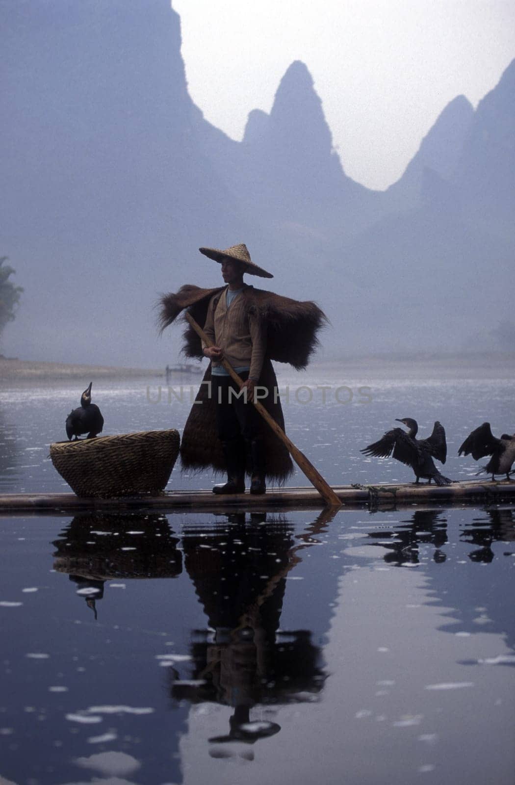 the landscape at the Li River near Yangshou near the city of Guilin in the Province of Guangxi in china in east asia.