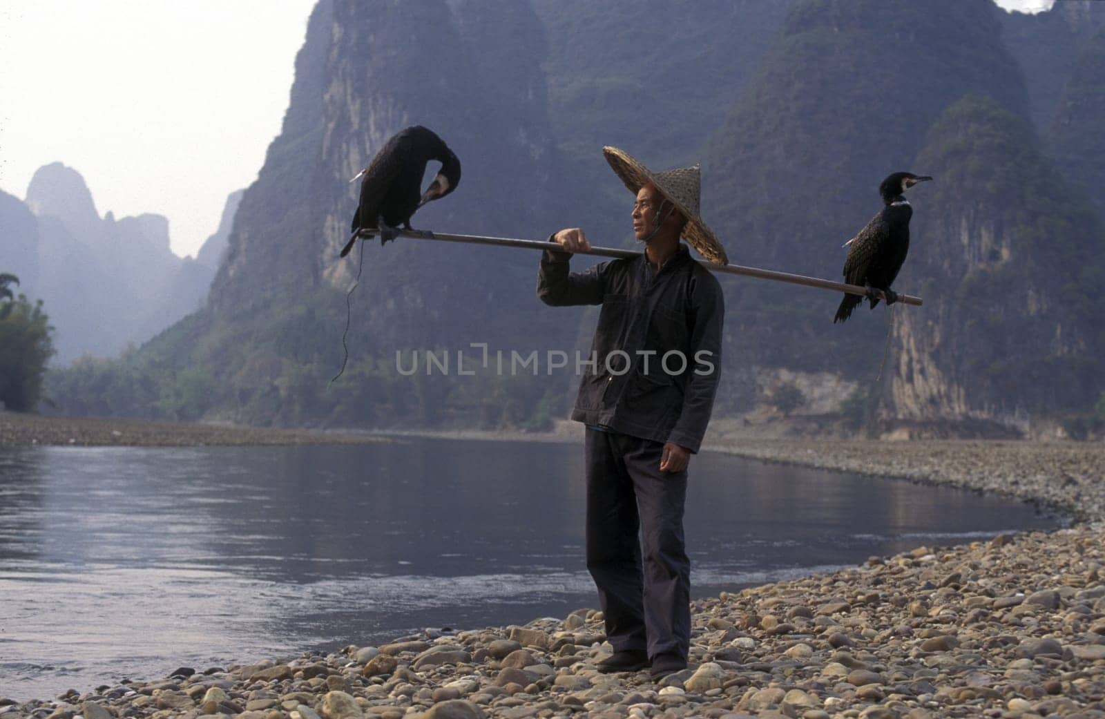 the landscape at the Li River near Yangshou near the city of Guilin in the Province of Guangxi in china in east asia.