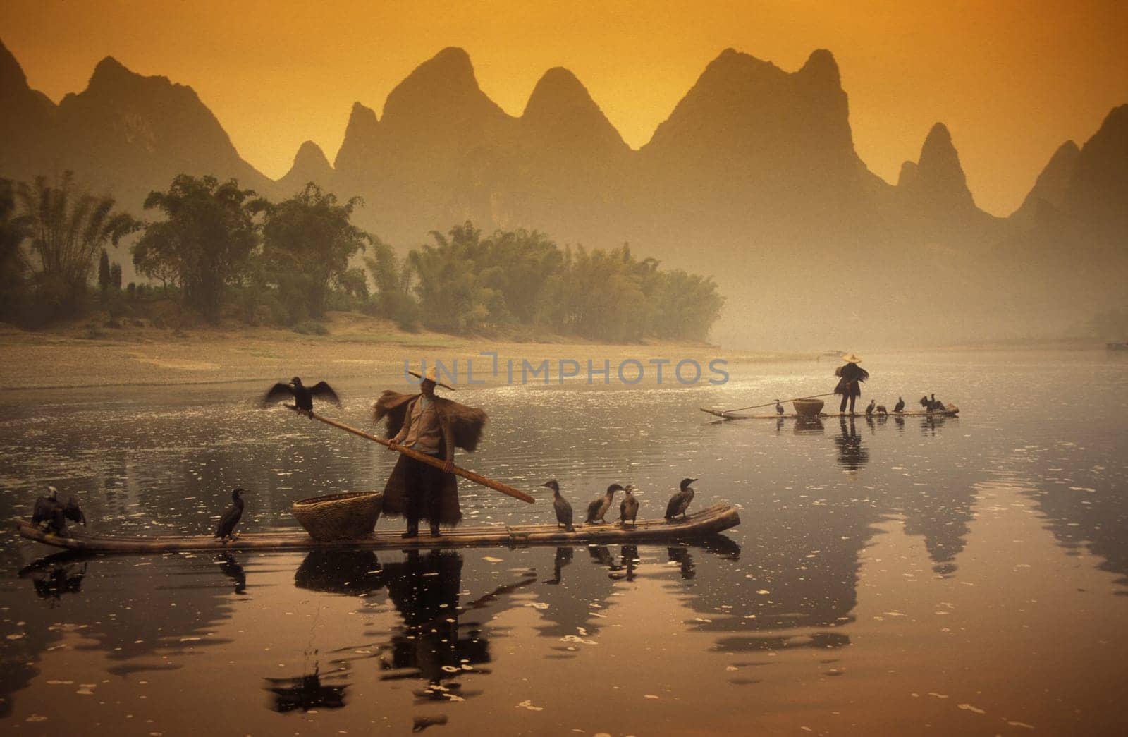 the landscape at the Li River near Yangshou near the city of Guilin in the Province of Guangxi in china in east asia.