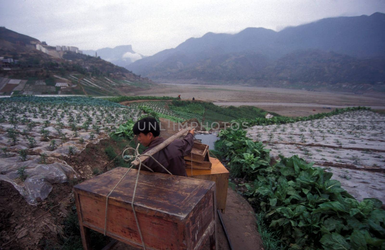 agroculture in the village of fengjie at the yangzee river in the three gorges valley up of the three gorges dam project in the province of hubei in china.