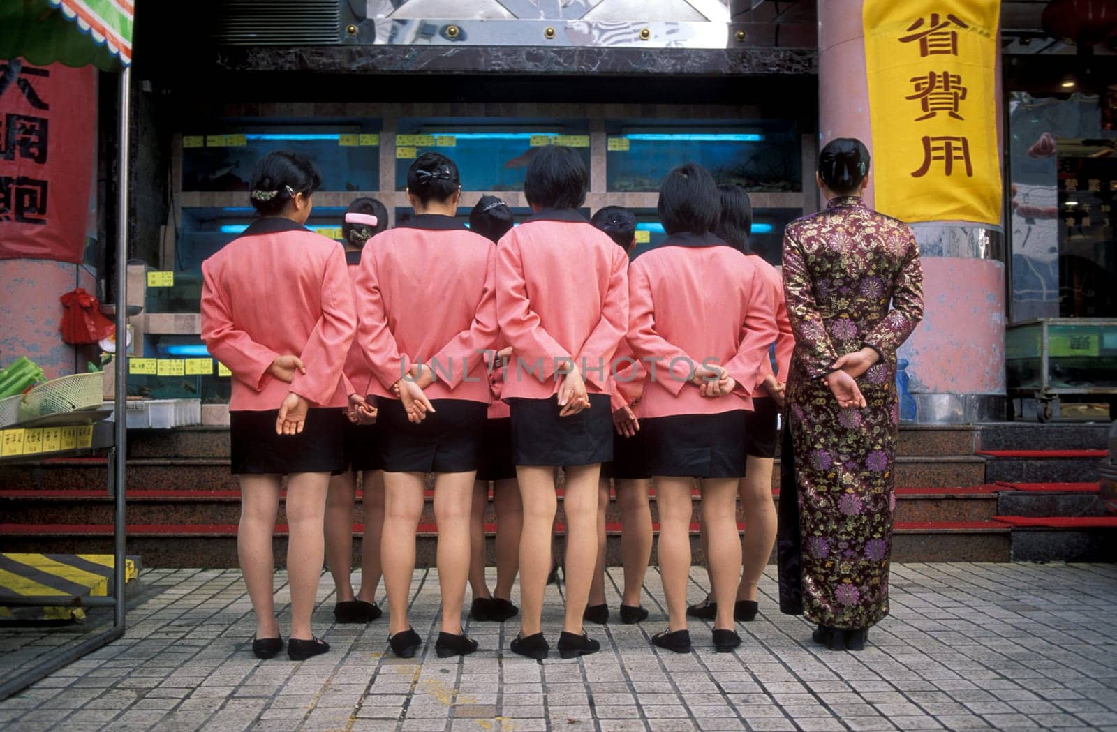 the restaraurant staff of a fish restaurant in the city of Shenzhen north of Hong Kong in the province of Guangdong in china in east asia.