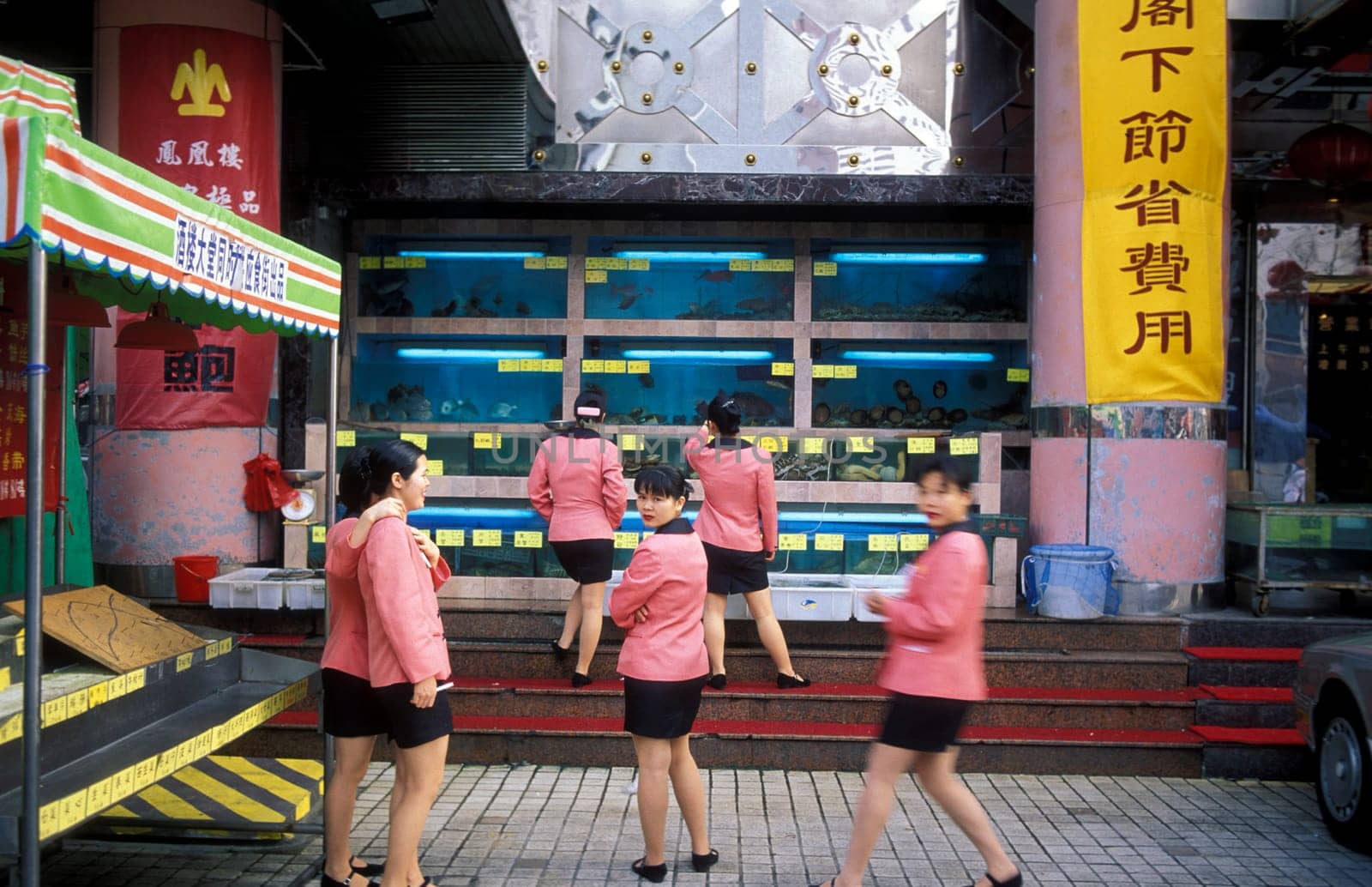 a seafood restaurant in the city of Shenzhen north of Hong Kong in the province of Guangdong in china in east asia.