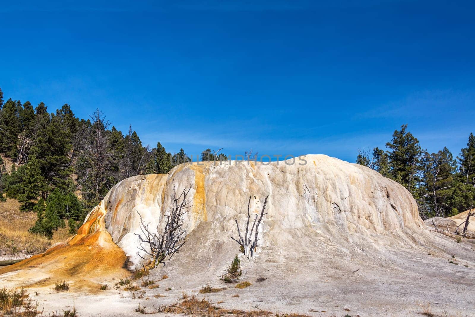 View of the Orange Mound formation in Mammoth Hot Springs in Yellowstone National Park
