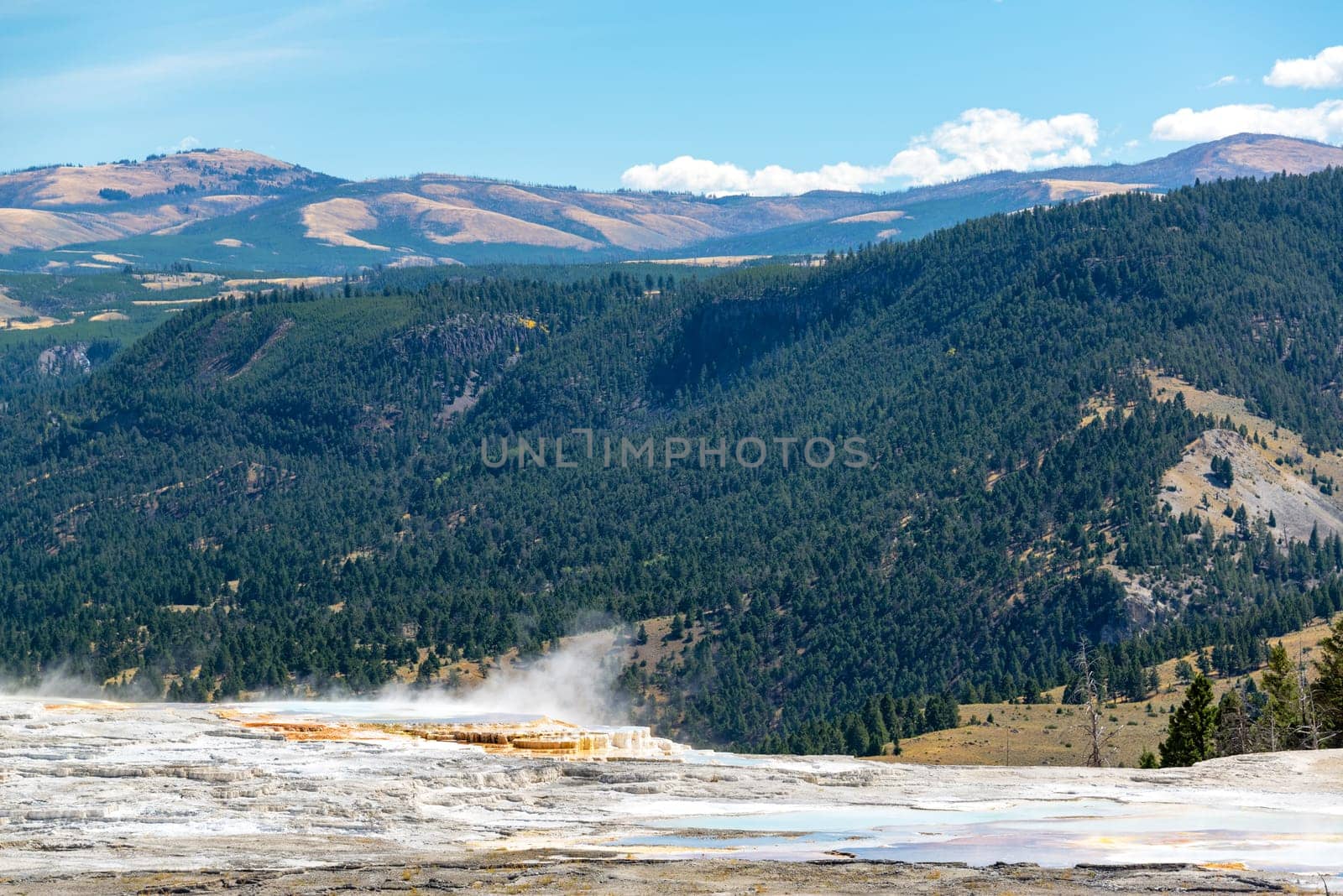 Steam rising from Mammoth Hot Springs with forest covered hills in the background in Yellowstone National Park