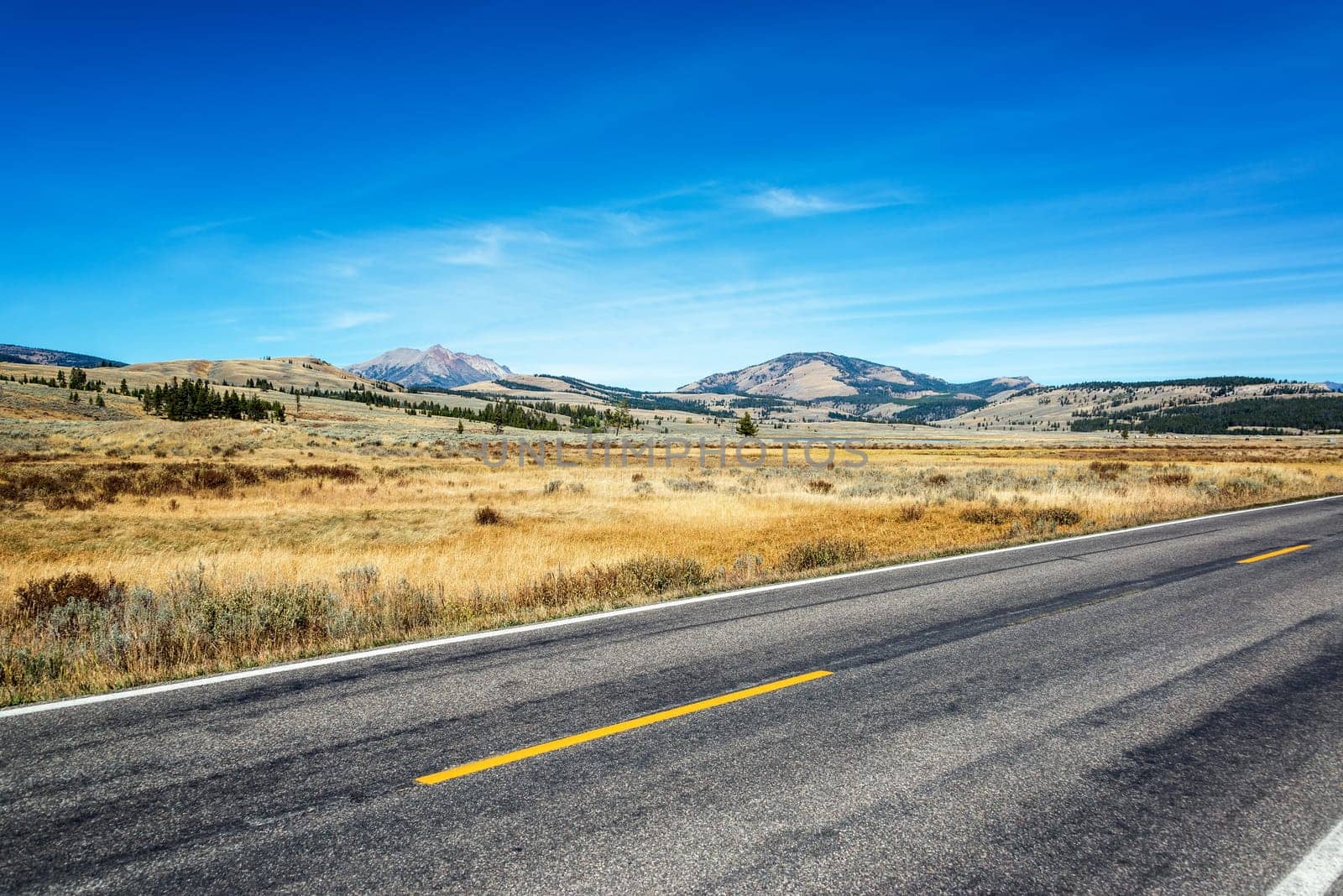 Road passing through Yellowstone National Park