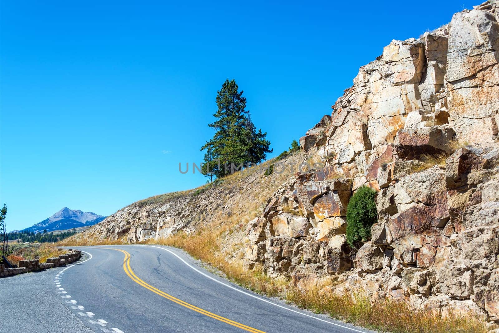 Road passing through Yellowstone National Park