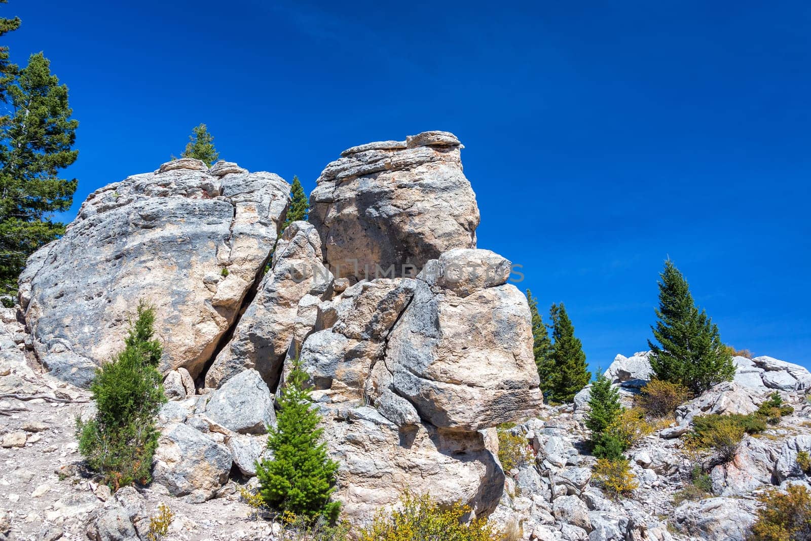 Rocky outrcopping in Yellowstone National Park