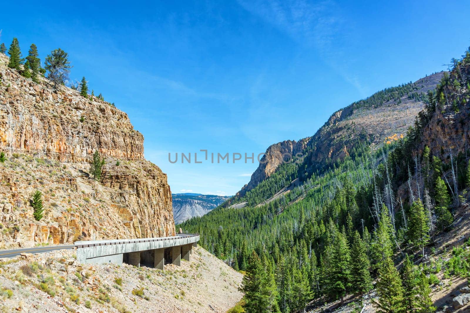 Road passing through a canyon near Mammoth Hot Springs in Yellowstone National Park
