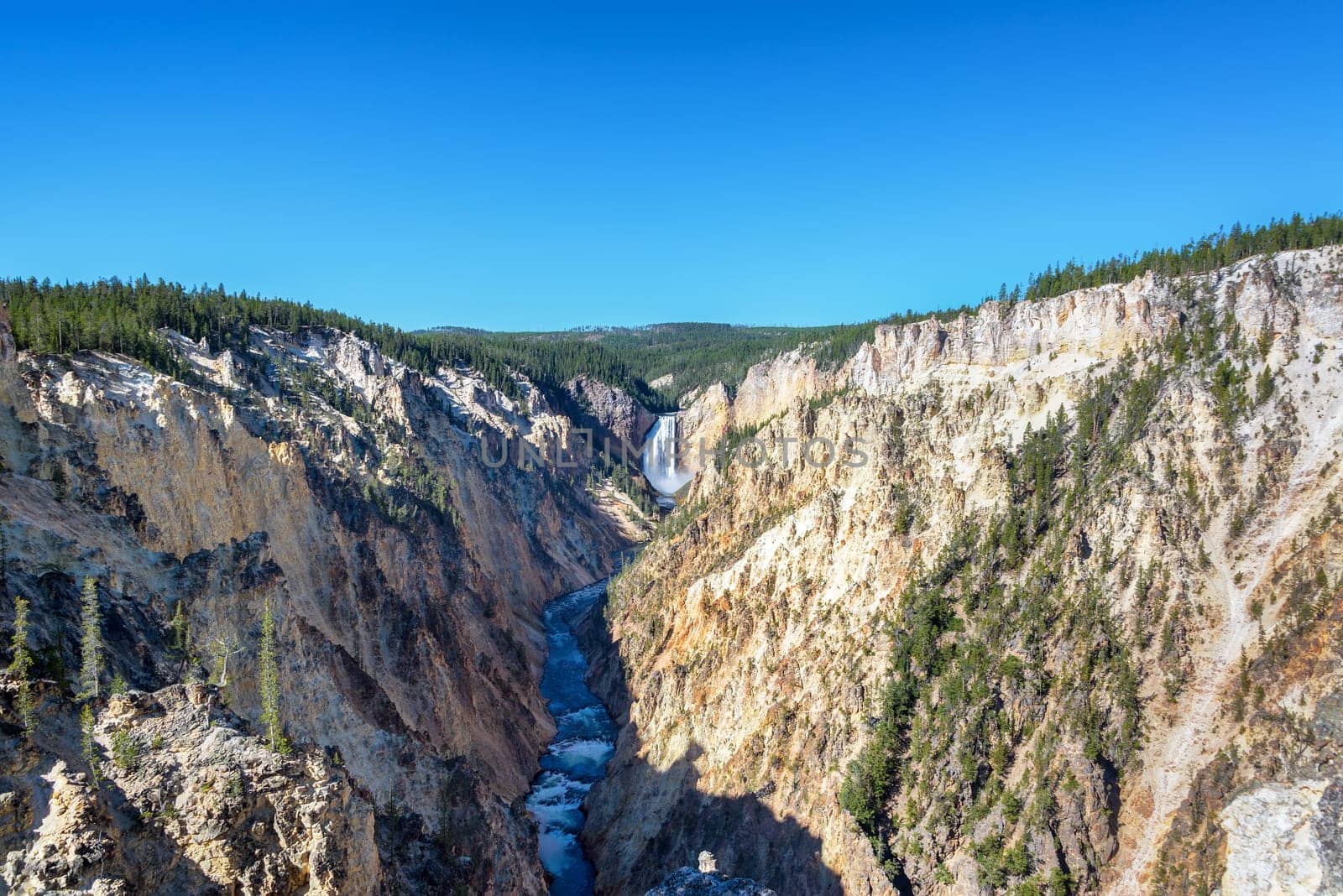 Wide angle view of Lower Yellowstone Falls in Yellowstone National Park