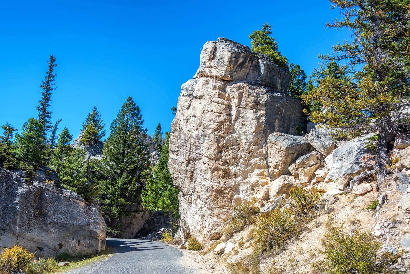 Small road near Silver Gate in Yellowstone National Park