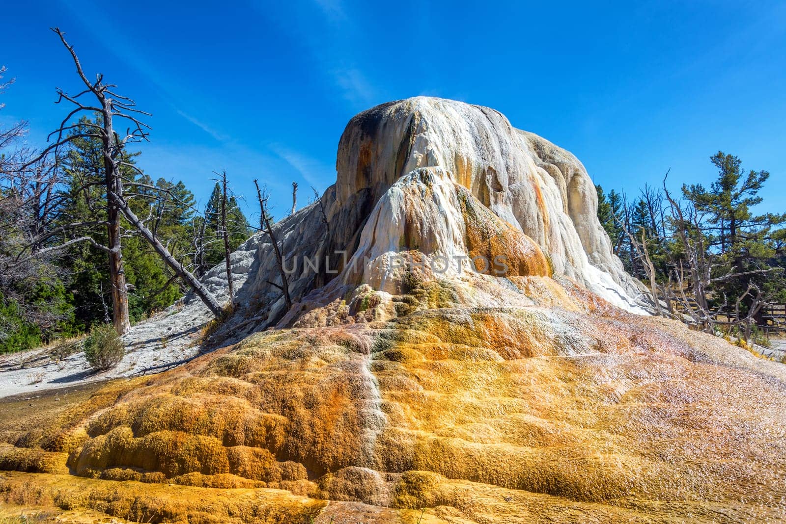 View of the Orange Mound at Mammoth Hot Springs in Yellowstone National Park