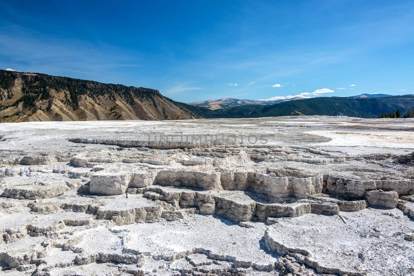 Dry terrace landscape view in Mammoth Hot Springs in Yellowstone National Park