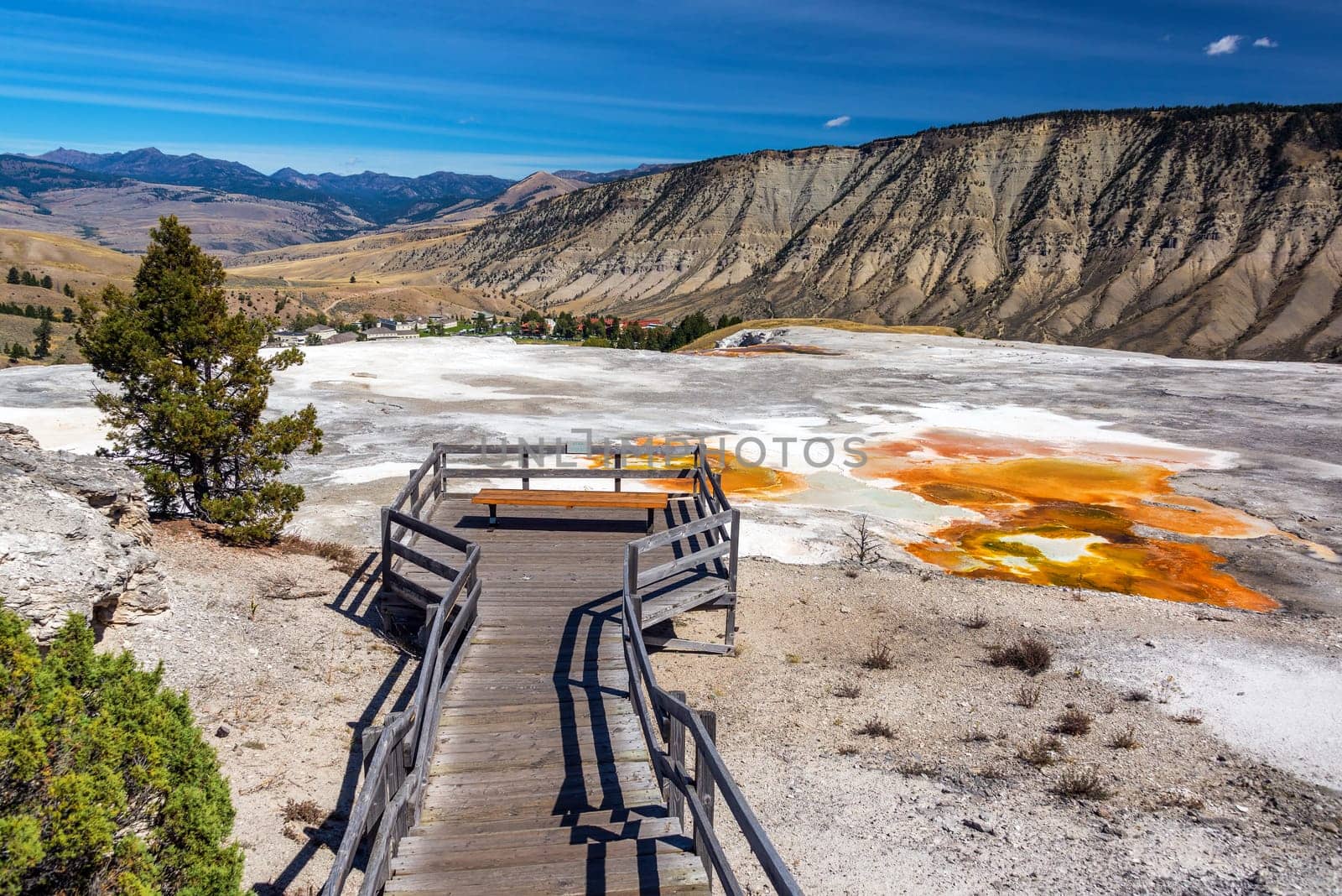 Veiw of Main Terrace Bacteria Mat in Mammoth Hot Springs in Yellowstone National Park