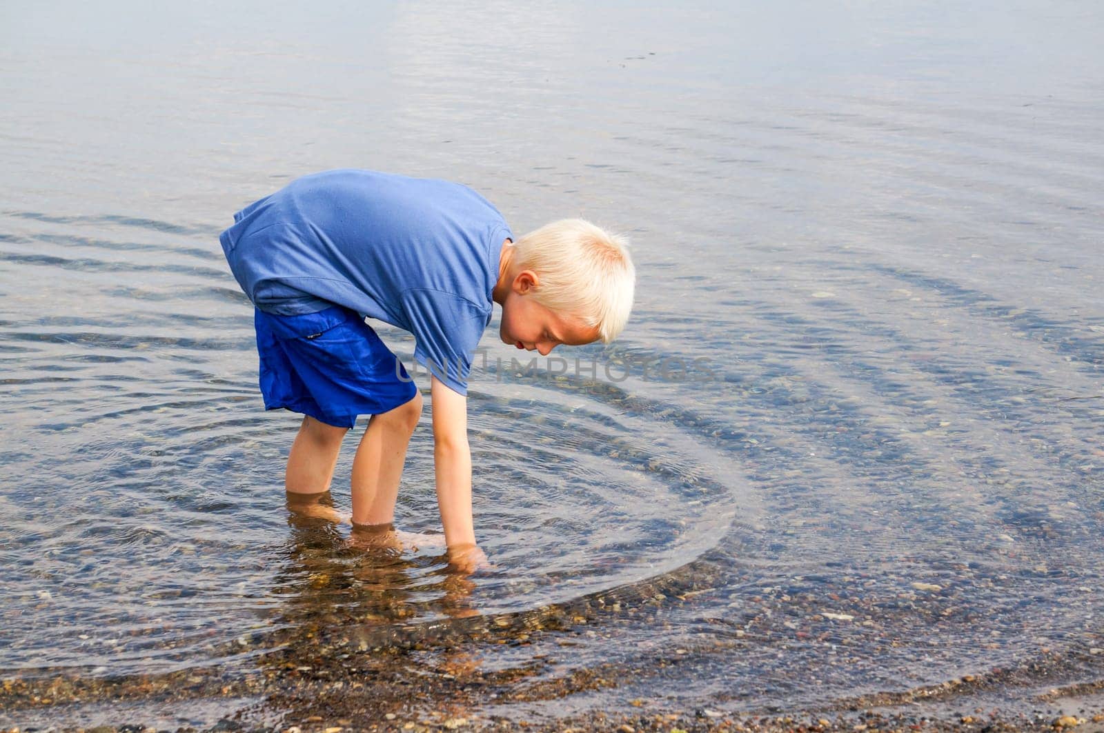 A little boy goes with his feet in the water on the beach and looking for clams and crabs