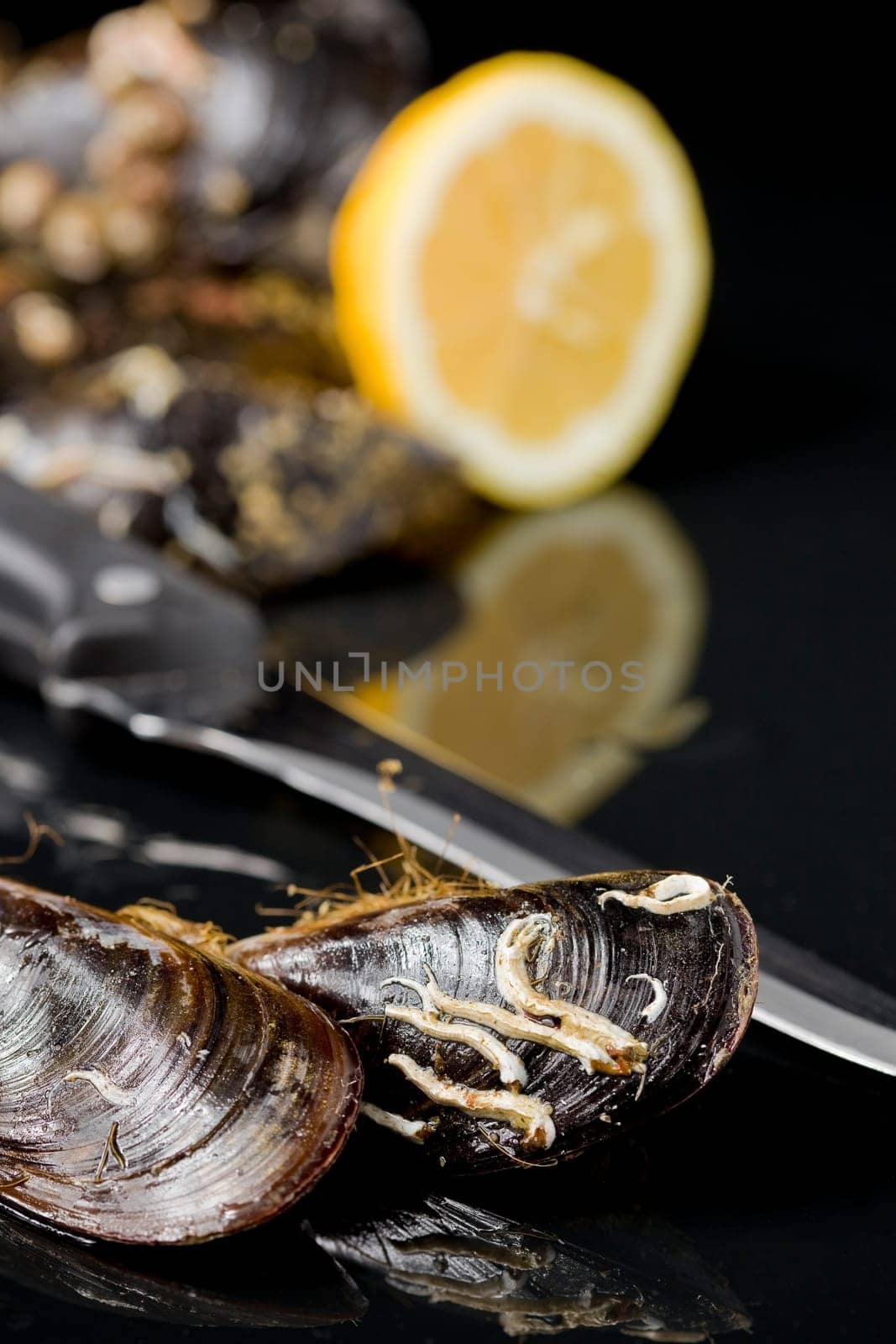 dark image of mollusks and lemon with nice reflection