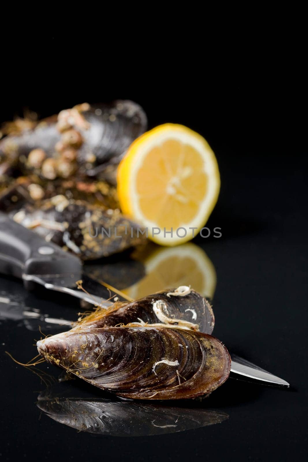 dark image of mollusks and lemon with nice reflection